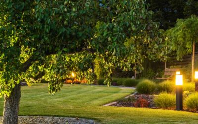 Landscape Lighting: How to Safely Illuminate Your Yard